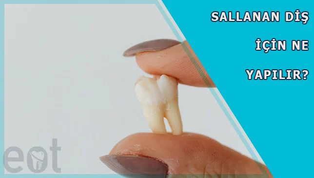 sallanan-dis