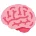 🧠